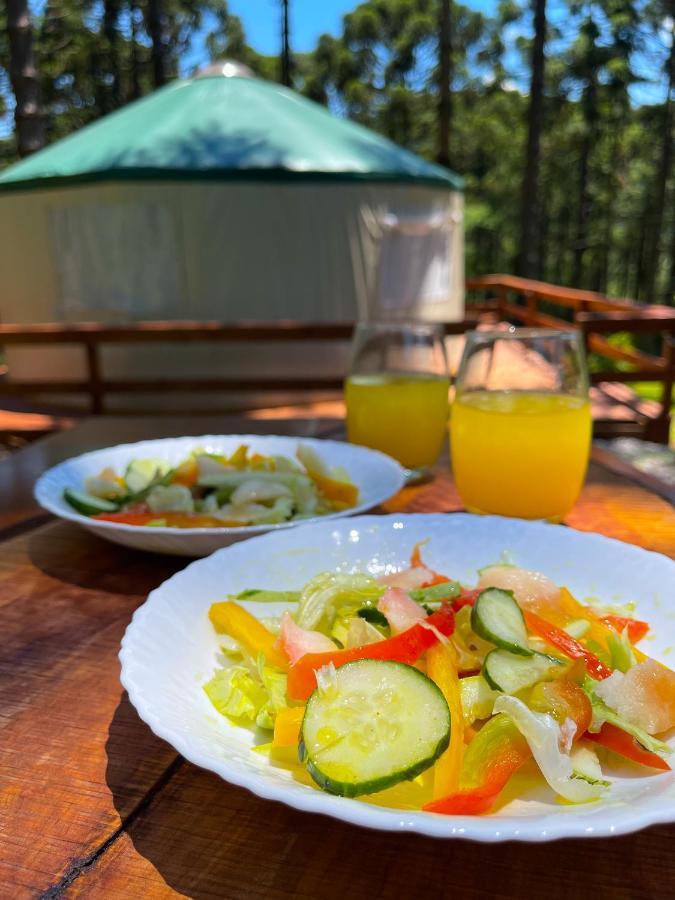 Estancia Las Araucarias 카넬라 외부 사진