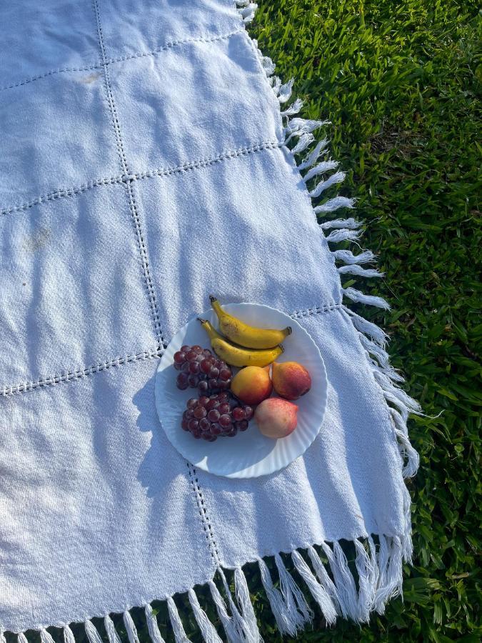 Estancia Las Araucarias 카넬라 외부 사진
