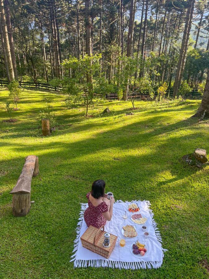 Estancia Las Araucarias 카넬라 외부 사진