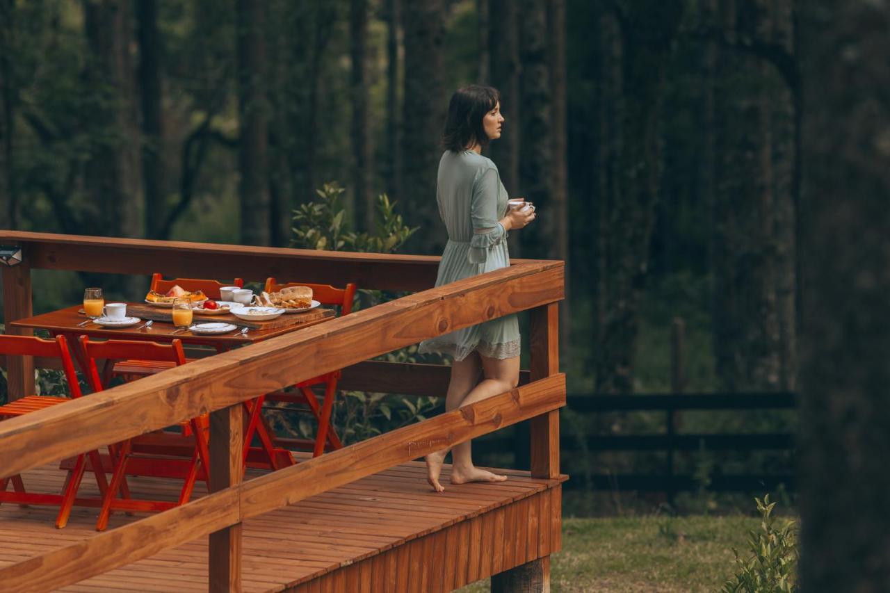Estancia Las Araucarias 카넬라 외부 사진