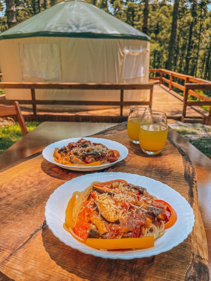 Estancia Las Araucarias 카넬라 외부 사진