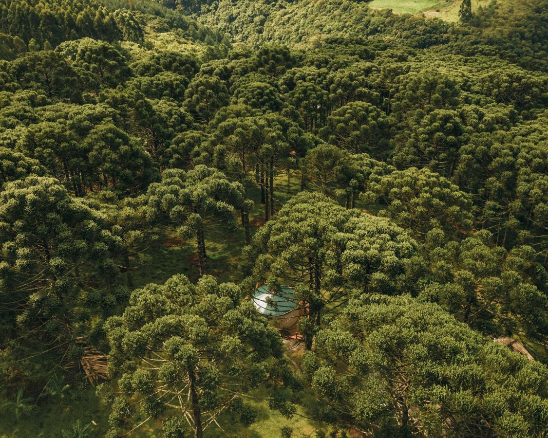 Estancia Las Araucarias 카넬라 외부 사진