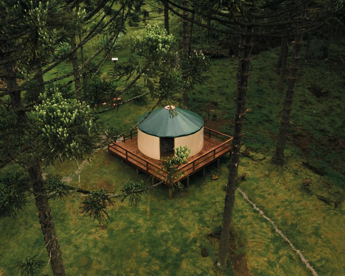 Estancia Las Araucarias 카넬라 외부 사진