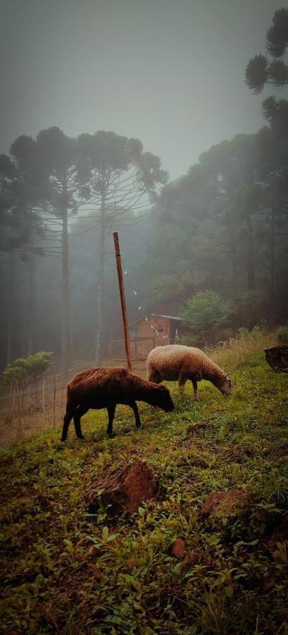 Estancia Las Araucarias 카넬라 외부 사진